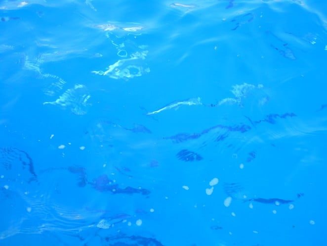 middellandse-zee-costa-blanca