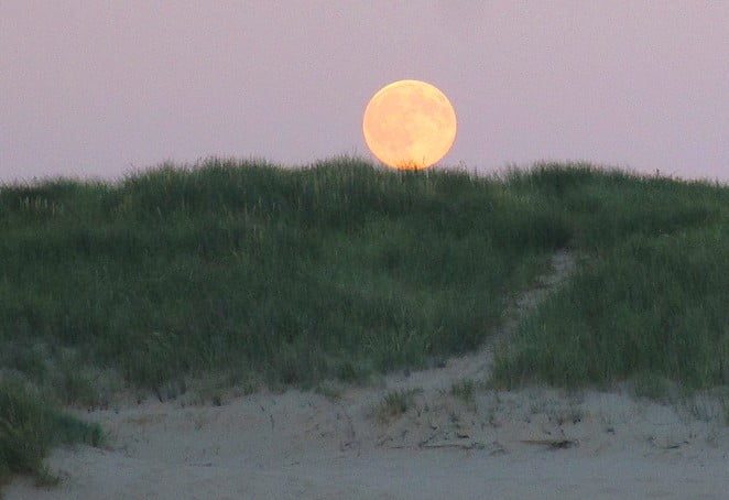 volle-maan-duinen