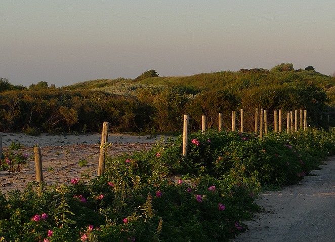 avondlicht-in-de-duinen