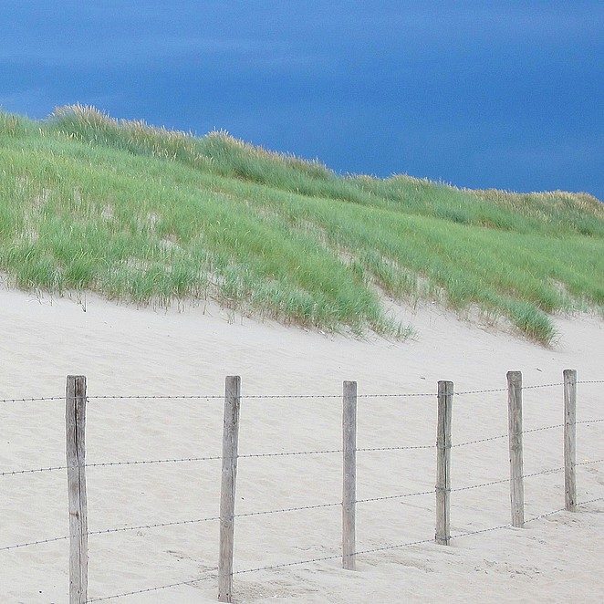 duinen-den-haag