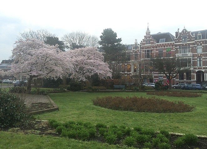 sweelinckplein-den-haag