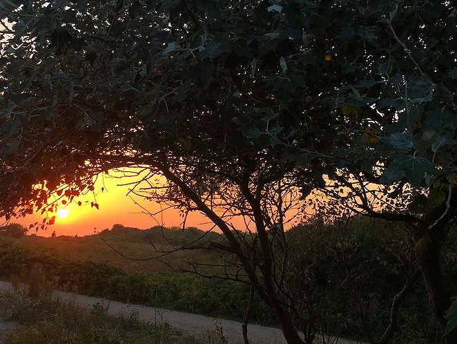 zonsondergang-duinen-den-haag