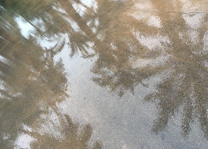 elche-by-rain