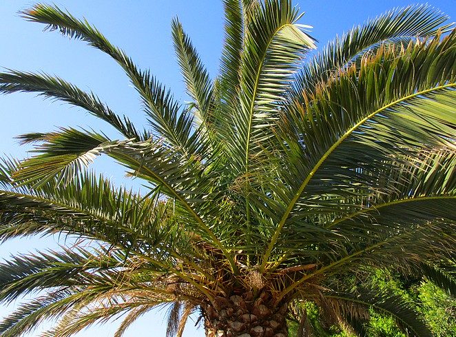 Costa-del-Sol-met-kinderen