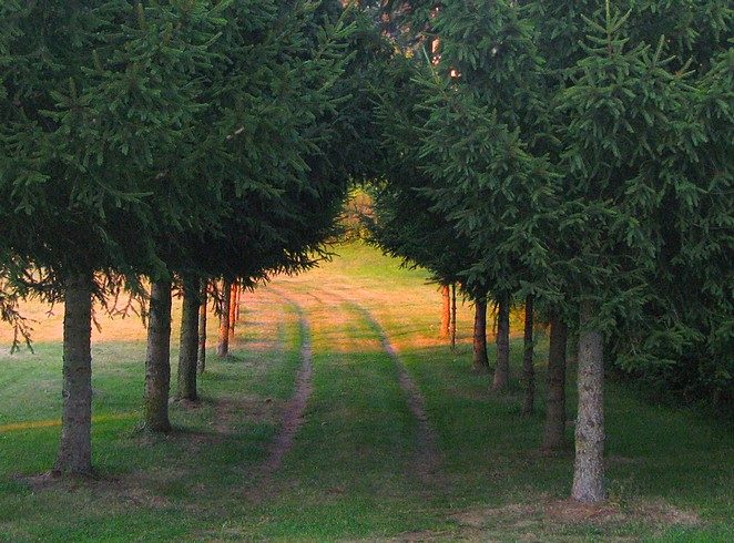 Frankrijk-met-kinderen