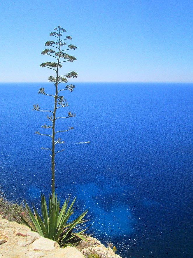 Zee-bij-Blue Grotto-Malta