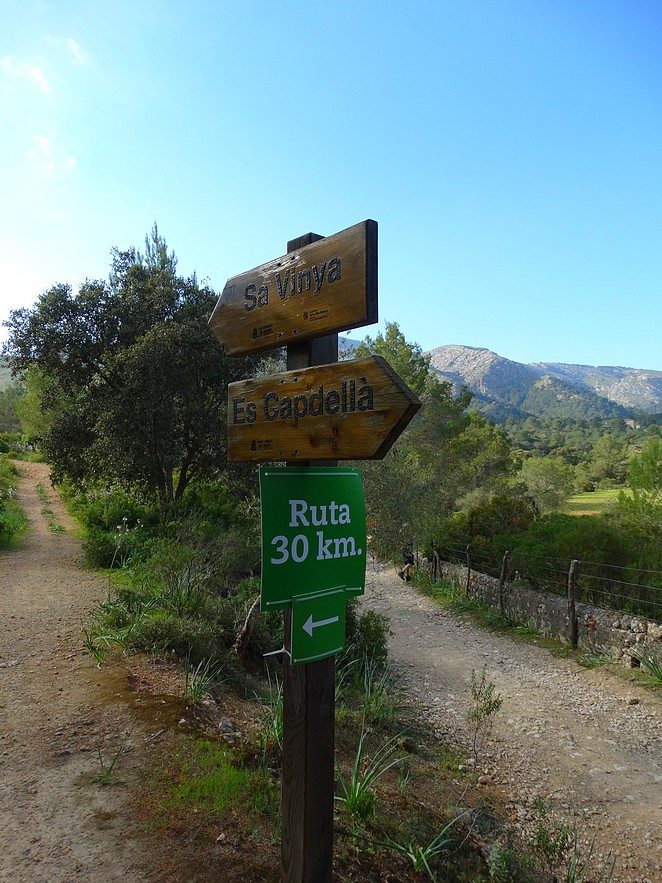 30km-mallorca-walking-event