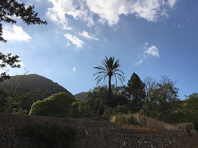 landschap-mallorca