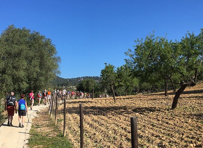 vierdaagse-mallorca