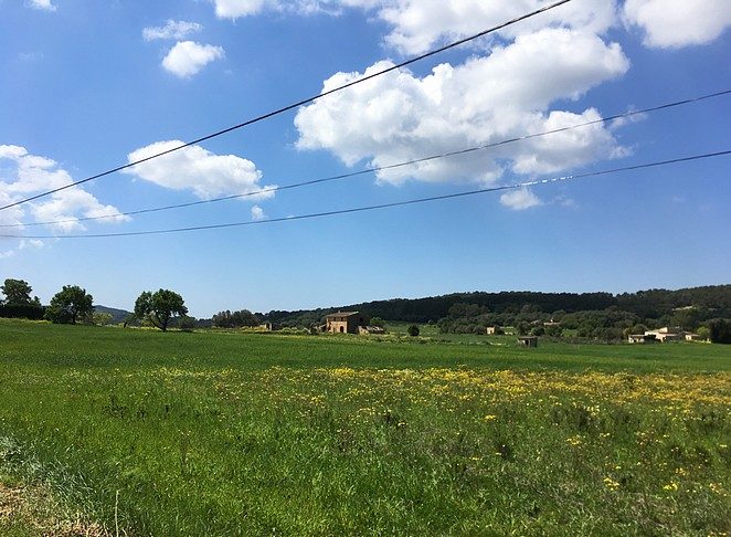 vlak-gedeelte-Mallorca