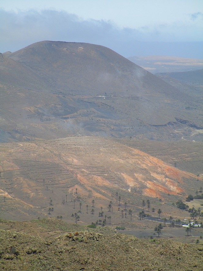 palmenvallei-Lanzarote