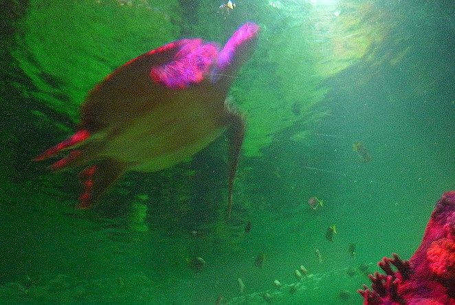 attractieparken-in-bangkok