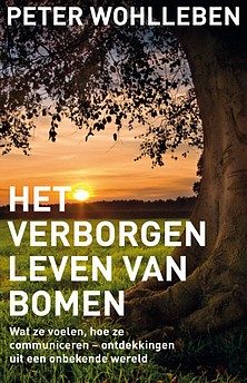 het-verborgen-leven-van-bomen