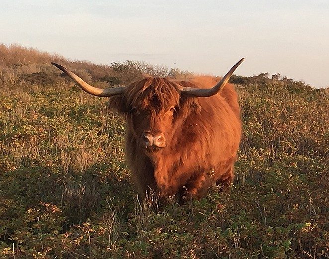natuur-nederland
