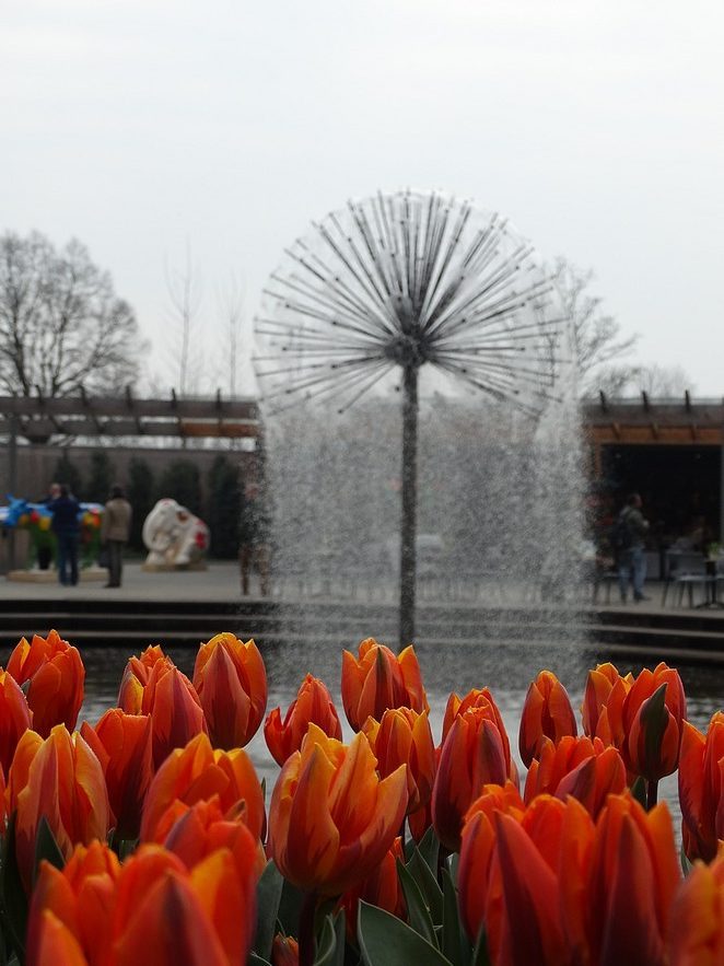 dagje-naar-de-keukenhof