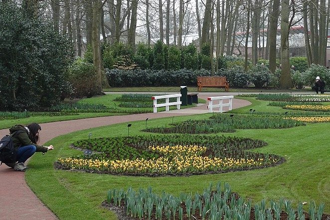 fotograferen-keukenhof