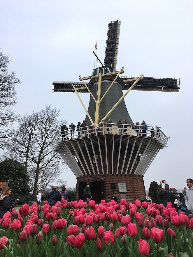 keukenhof-blogger