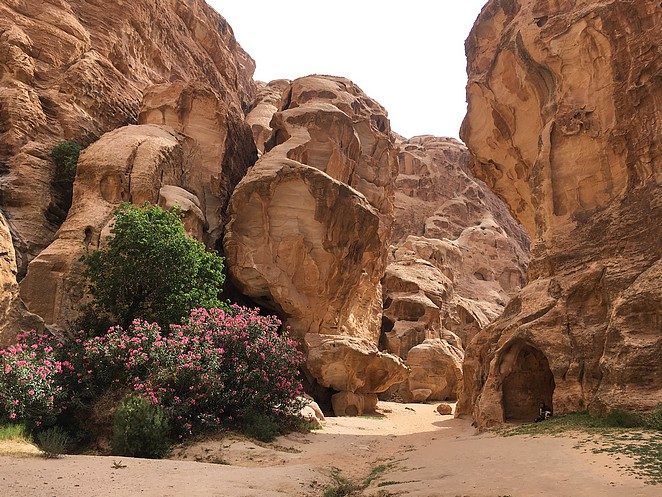 jordanie-siq-al-berid