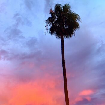 reisblog bestemmingen