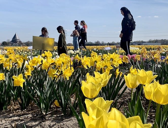 flower farm kids
