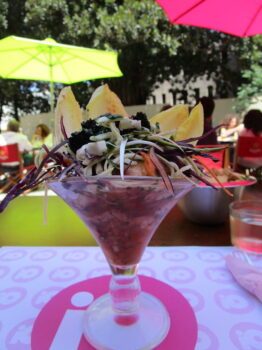 ceviche-terras