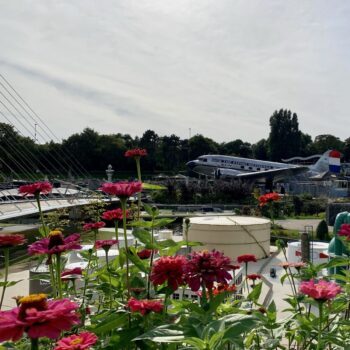 Wat te doen in Den Haag met kinderen: leuke musea en activiteiten (de beste tips!)