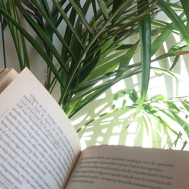 beste-reisboek