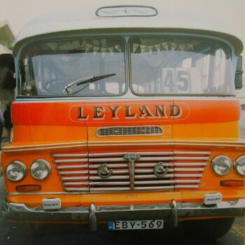 bus-malta