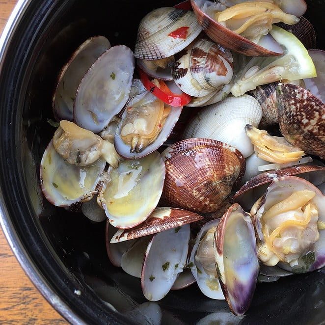 Vongole