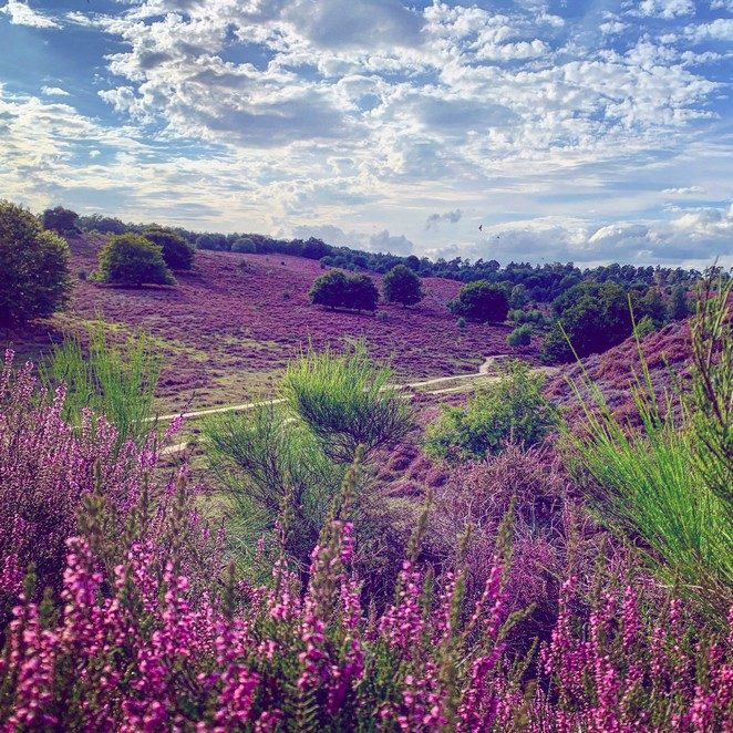 mooiste-natuurgebied-nederland