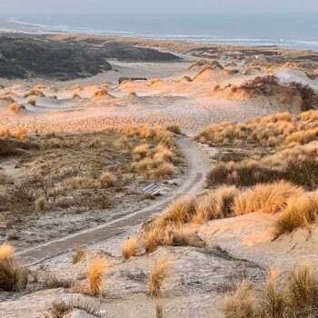 mooiste-natuurgebieden-nederland