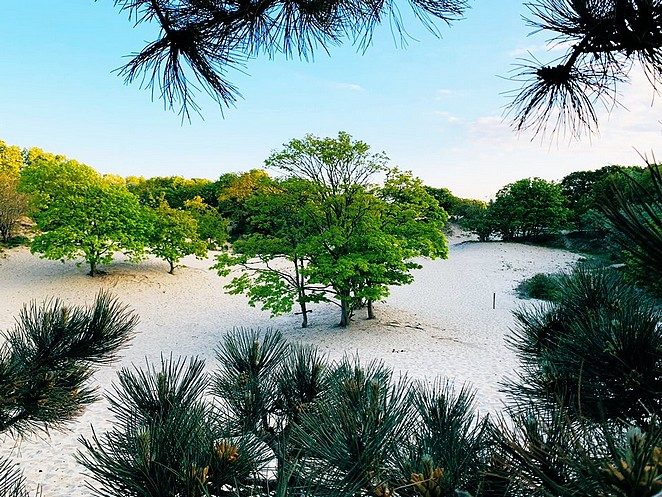 mooiste-natuurgebieden-van-nederland