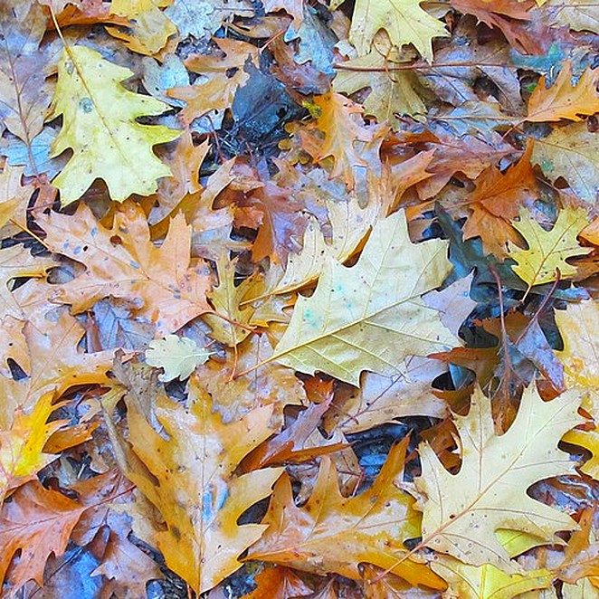 lastminute-weg-herfstvakantie