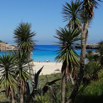 zomervakantie-boeken