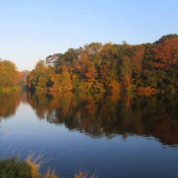 natuur-den-haag-herfstwandeling