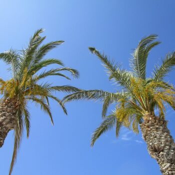 vroegboekkorting-vakantie