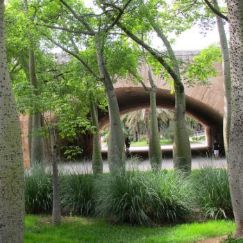 wat-doen-als-het-regent-in-valencia