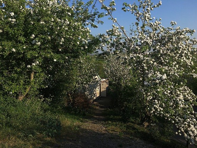 natuur-gouderaksedijk