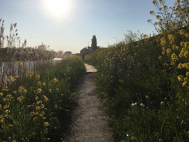 wandelen-gouda-goudasfalt