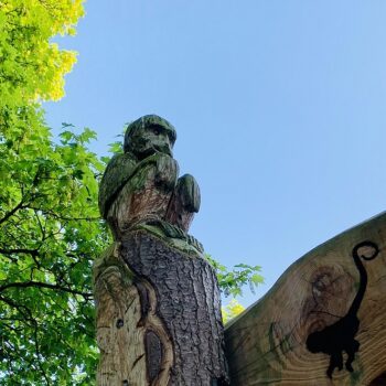 apenbos-speeltuin