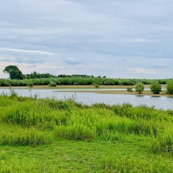 Natuureiland Tiengemeten: ongerepte natuur op onbekend eiland in Zuid-Holland