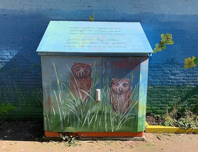 elektriciteitskastje