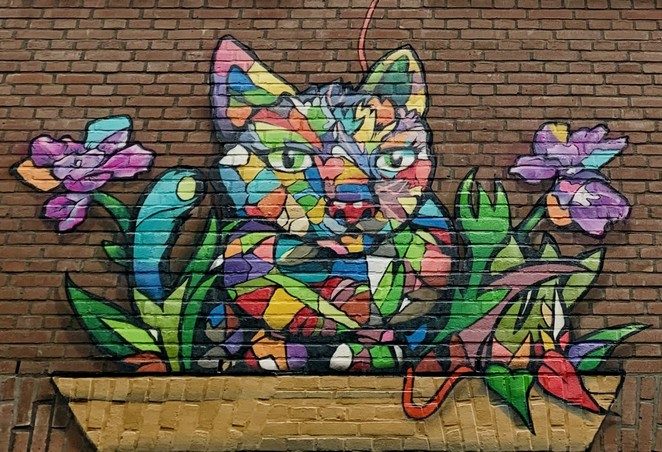 katten street art den haag