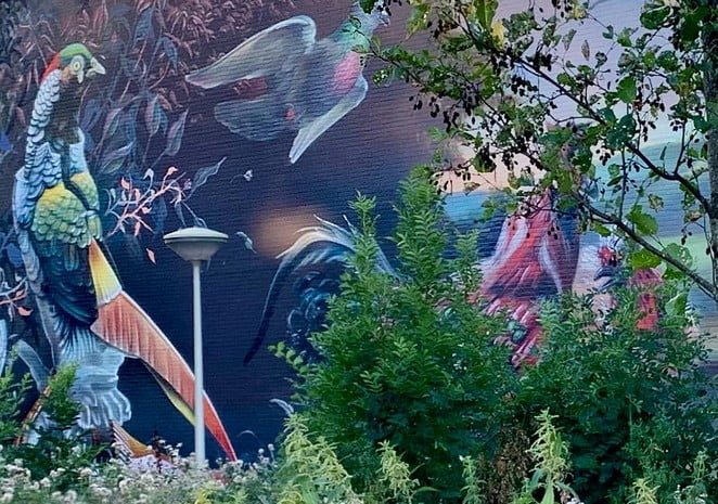 nieuwe street art den haag