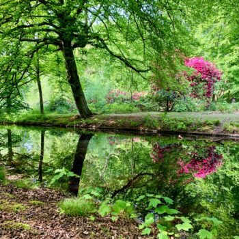 wandeling-landgoed-ockenburgh