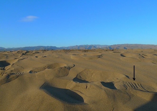 slipper-voor-op-reis