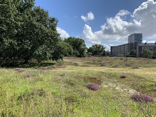 heide-ridderspoorweg