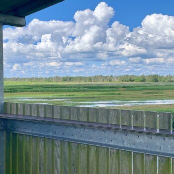 weerribben-wieden-blog