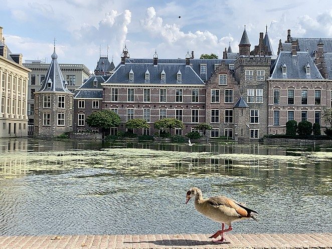 den-haag-vandaag