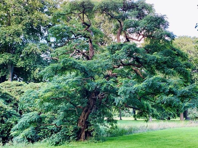 park-overvoorde-rijswijk